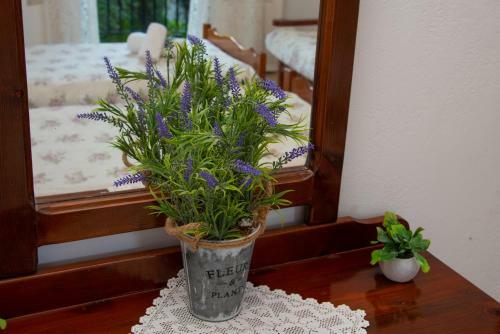 Apartamento Amalia Complex