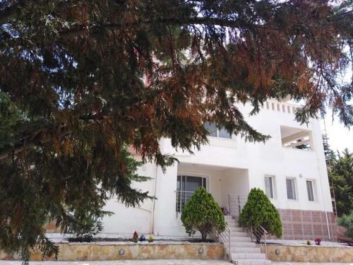 Apartamento Treasures B&B