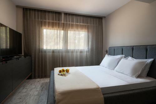 Apartamento Villa Sara