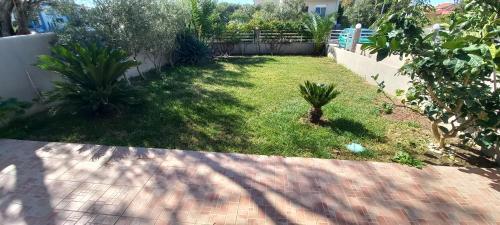 Palm Garden Apartment