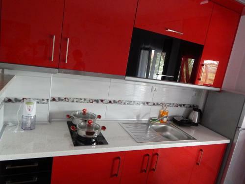 Palm House Nikiti - Apartments Vicky