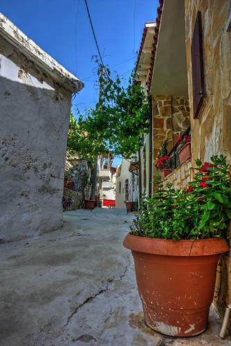 Villa Hidden Gem Crete
