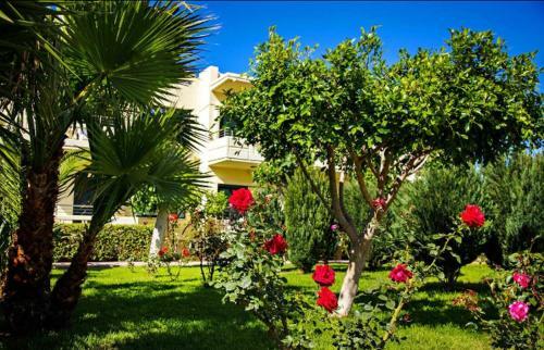 Lili Apartments,oasis 2,5 Km From Hania Center