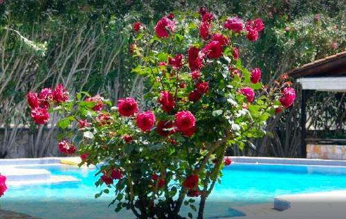 Lili Apartments,oasis 2,5 Km From Hania Center