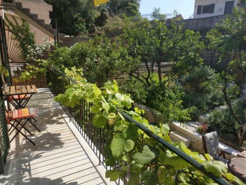 Corfu Pelekas Apartment 2