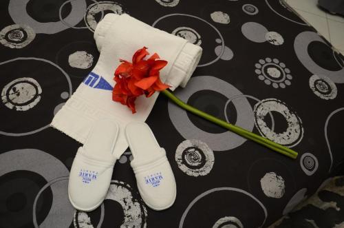 Hotel Marie Palace