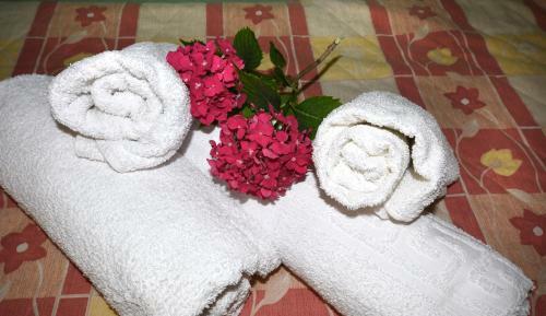 Apartamento House Niki