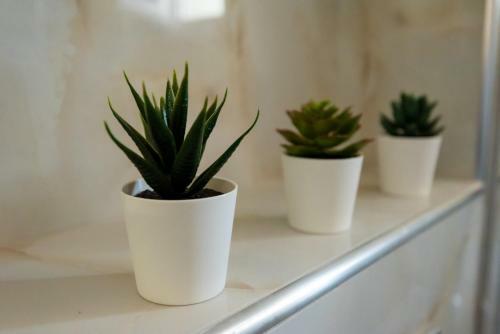 Apartamento Olive 301