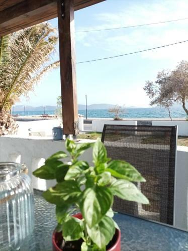V&e's Apartments