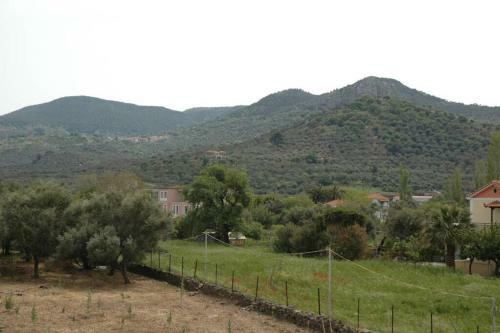 Apartamento Elenis Olive Green Studio