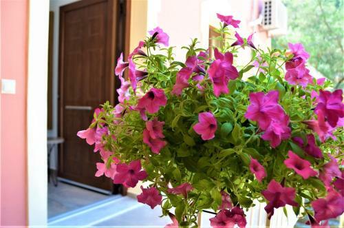 Apartamento Pagiatakis Suites