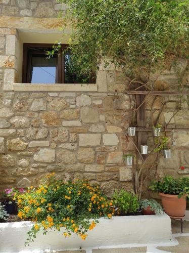 Hostal Epavli Veneti