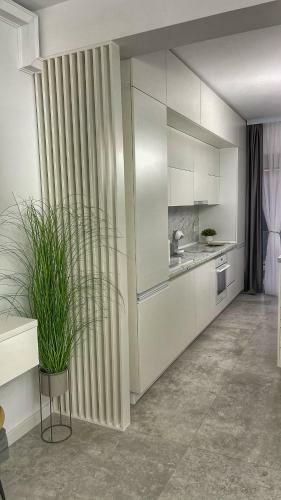 Apartamento Perfect Stay