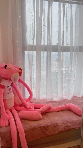 Aparthotel Pink Panther Theme Homestay