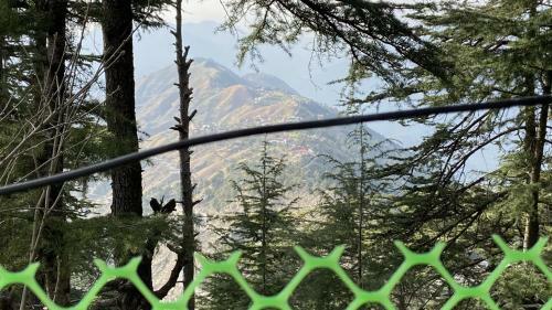 Nishal Homestay