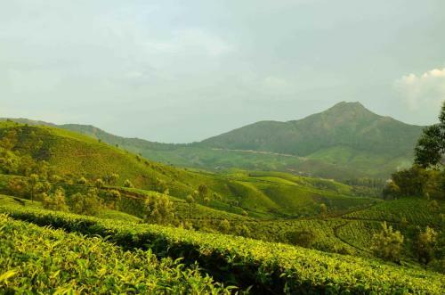 Villa Munnar Valley View Annex
