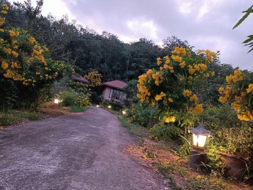 Hotel The Mantra Resort