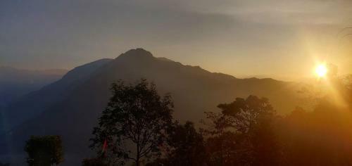 Teesta Tendong Homestay