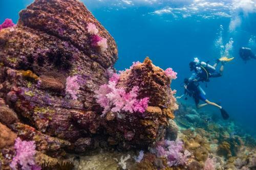 Hotel Forra Dive Resort Sunrise