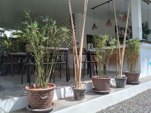 Hotel Sunya Cottage