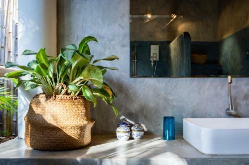 Dhyana Villas