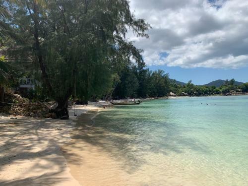 Agroturismo Coconut Beach Bungalows
