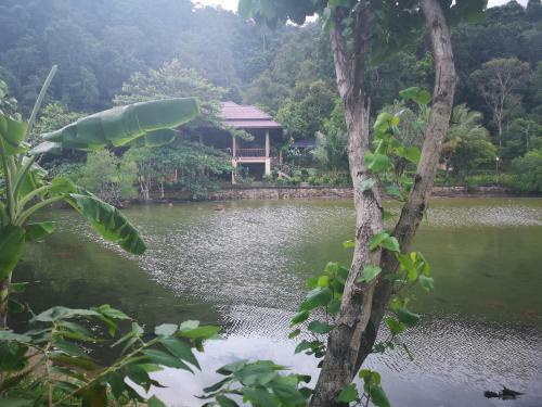 Hotel Yuyu Golden Beach