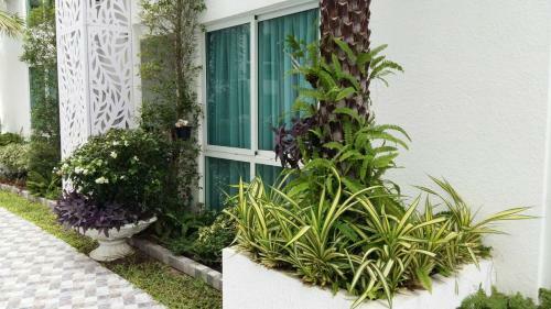 Apartamento Olympus City Garden Pattaya