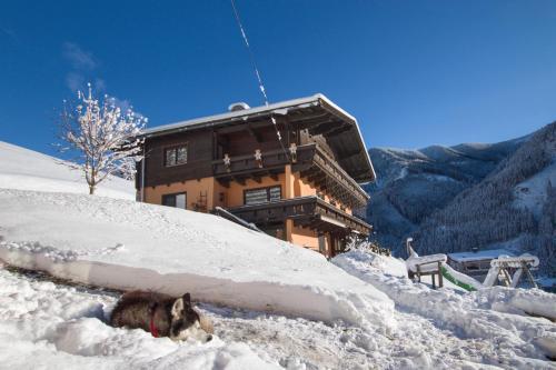 Apartamento Appartements Moser