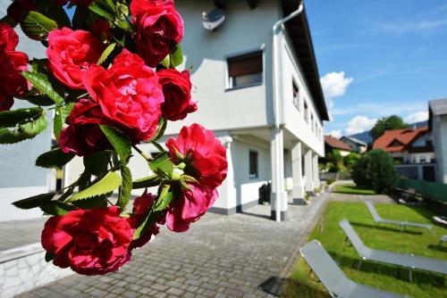 Alpenblick - Modernes Und Gro�z�giges Apartment
