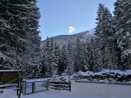 Apartamento Tiroler Hasenh�hle