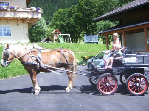 Hostal Bio Bauernhof Vorderoberlehen