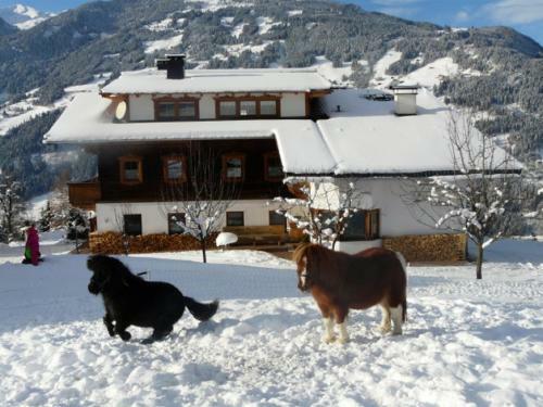 Apartamento Haus Kammerland