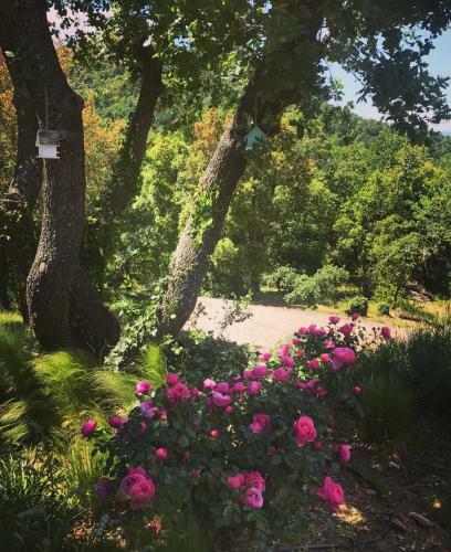 Apartamento R�sidence Le Mouron Rouge