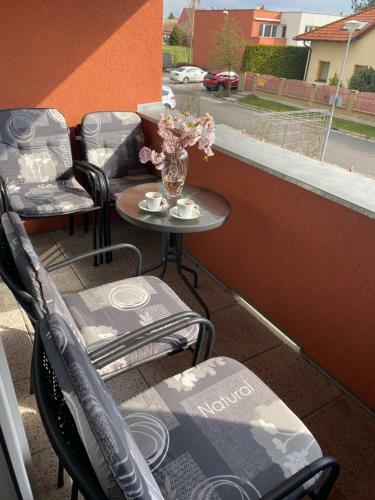 Apartm�n Lu?nice T?ebo?