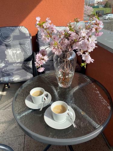 Apartm�n Lu?nice T?ebo?