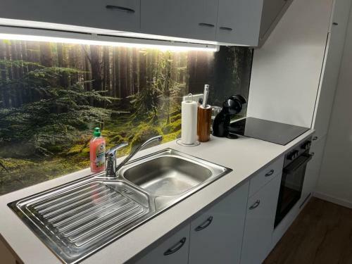 Gem�tliches 4er Apartment In Skilift-n�he