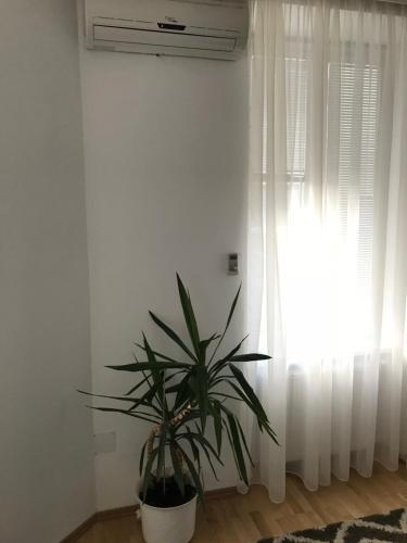 Vienna Corner Apartment 1020