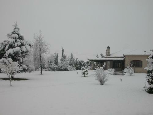 Villa The Garden Lodge