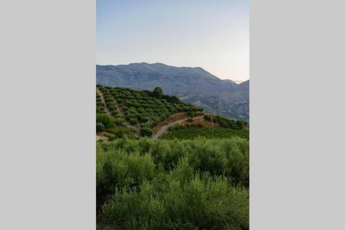 Villa Duente Pirgoy Village