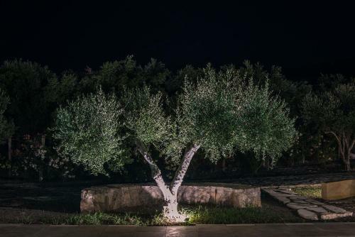 Metohi Villa Sitia