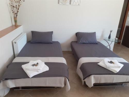 Vasiliki Residence