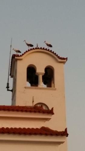Andoni's House