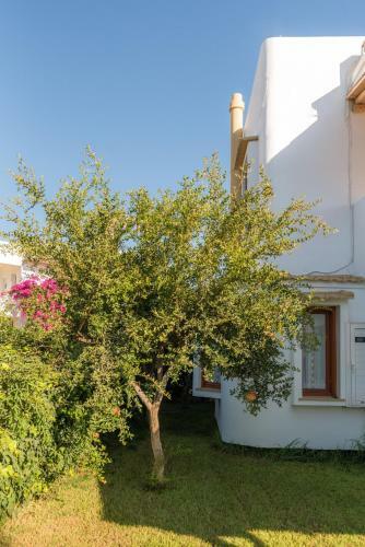 Apartamento Villa Muse
