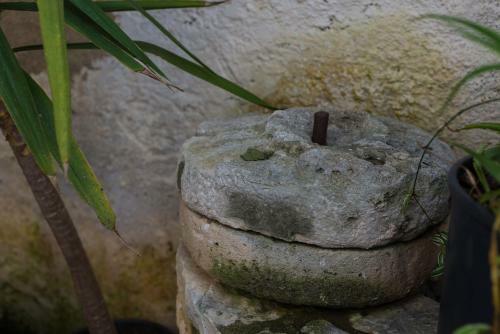 Villla Elpis In Plaka