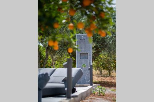 Orange Tree