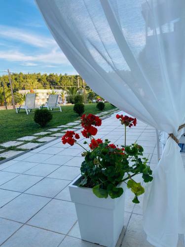Hostal Lefki Villa