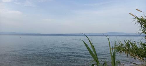 Lovely Maisonette Right In Front Of The Sea
