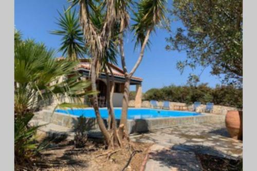 Villa Yucca Palm