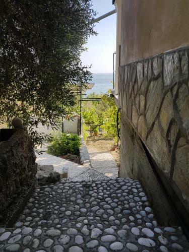 Bohali's House